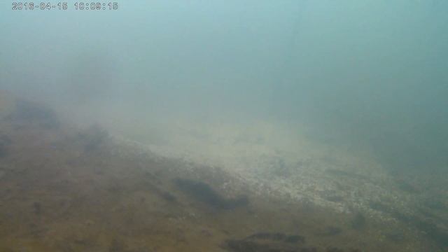 тест недорогой экшн камеры под водой. зимняя подводная съемка ноябрь 2018 смотреть онлайн