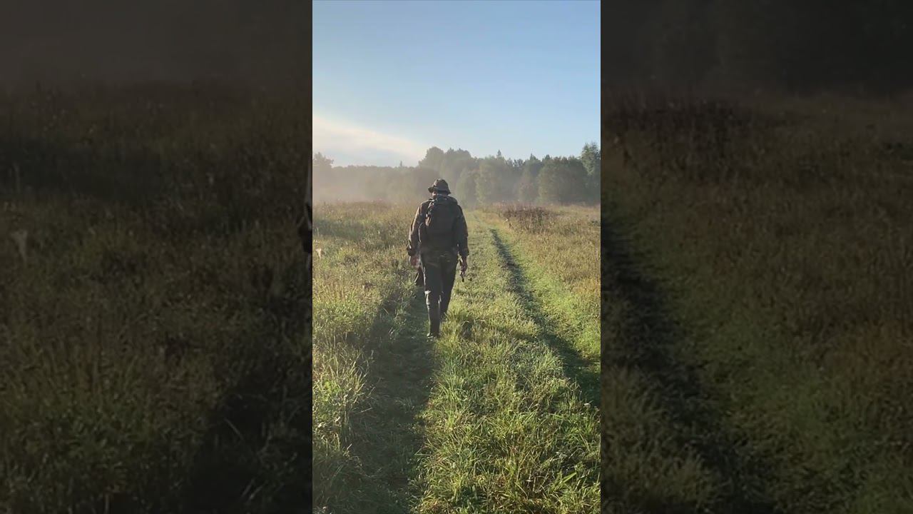 У кого так же? #рыбалка #релакс #природа #утро #назаре #лес #shorts #дождь #красота смотреть онлайн