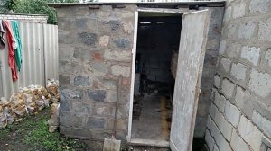 Выращивание грибов вешенки. Вешенки в подвале. Вешенки во дворе. Вешенки в грибном помещении. Белок