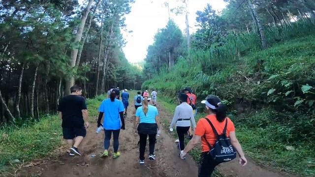 PART 1 PHP EXPLORE LEMBANG GUNUNG PUTRI hutan pinus bandung hiking hash INDONESIA west java tropis смотреть онлайн