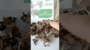 Исландский мох