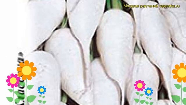 Астрономия и Космос