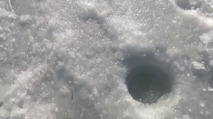 Изготовил зимние блесна на зубаря и навагу.Ловля наваги. Ловля зубаря.Зимняя рыбалка 2024