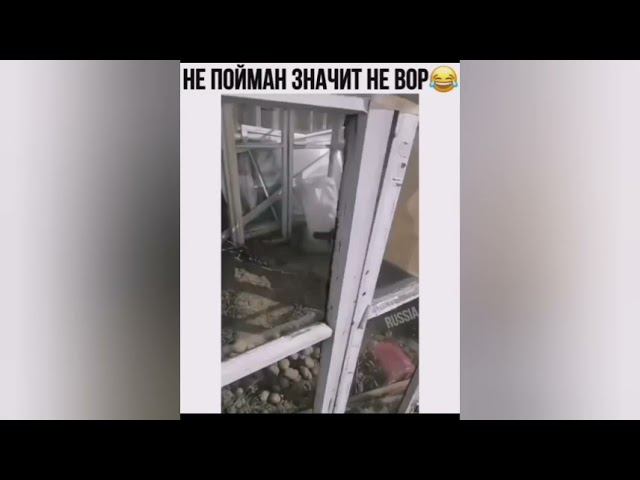 Не пойман значит не вор. Кот в чужом огороде, пробил стекло смотреть онлайн