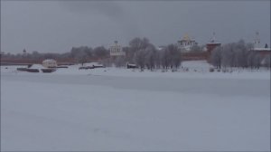 Почему птицы не улетают на юг? Зима в Великом Новгороде