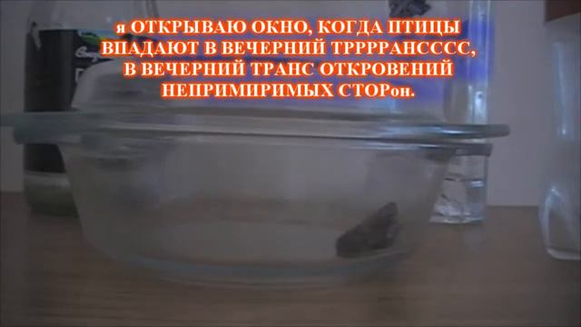 ИМЕНно СЕГОДНя (HD) смотреть онлайн