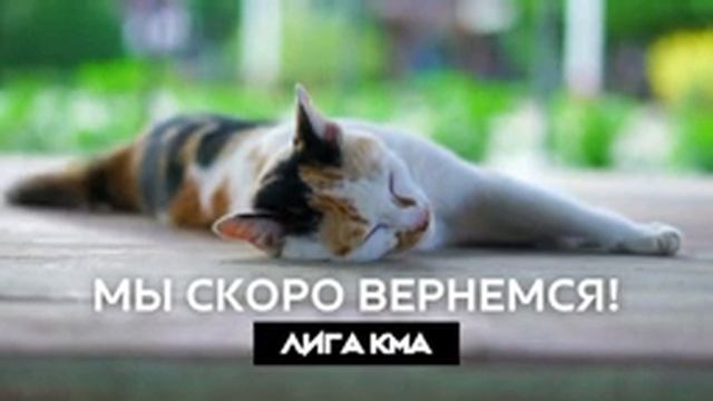 Лига КМА | CS:GO Сhallangers | МГУ vs ВГУ-2 | Collage_ASU | VSUET vs Pase4niki смотреть онлайн