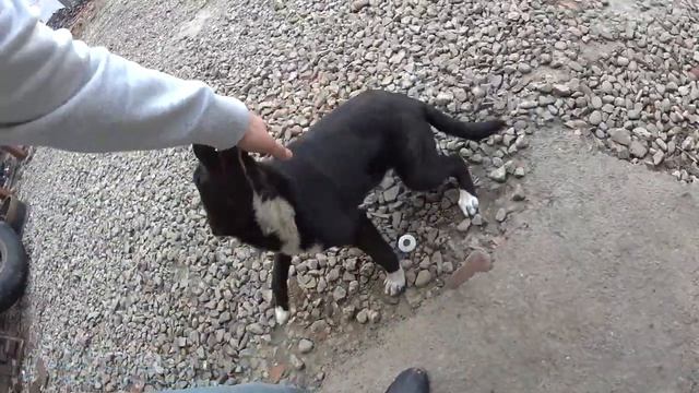 Dmitriy Ostrosablin - Как отремонтировать треснувшую тарелку... смотреть онлайн