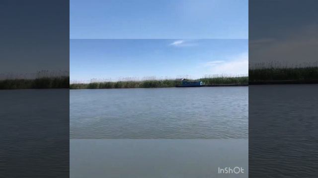 18.05.2020 рыбалка устье Днестра смотреть онлайн