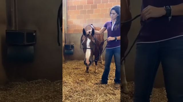 Когда нашли триггерное место ? смотреть онлайн