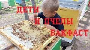 Дети и пчелы Бакфаст