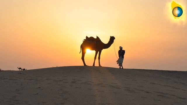 Arabic Music Bass House - Remix 2022  #arabesk #arabic_sad_music_tone