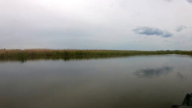 Обзор рыбных мест 07 06 2022 год № 3 Бития г. Омск Бешеный карась !!! смотреть онлайн