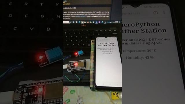 Micropython ESP32 Web Server with AJAX смотреть онлайн