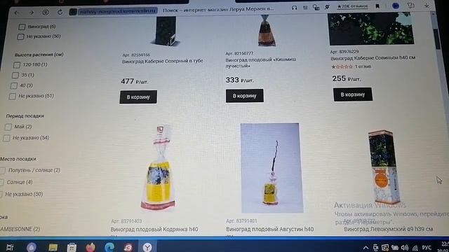 Выбор саженцев винограда в магазине. смотреть онлайн