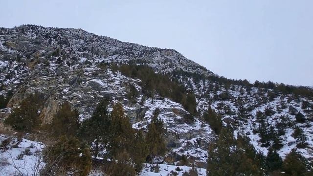 Shohimardon qishlog'i haqida mobil reportaj смотреть онлайн