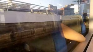 Моя первая поездка на МЦК от станции Дубровка МЦК до станции Автозоводская МЦК