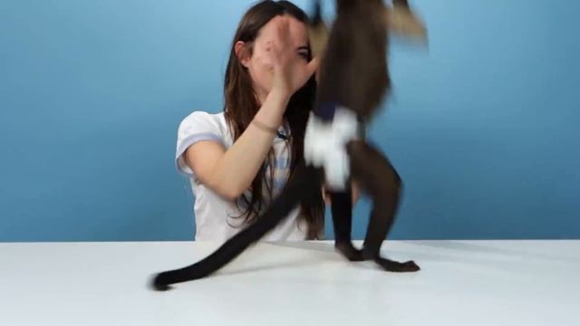 Stoners Get Surprised With A Monkey & Eat Banana Splits смотреть онлайн