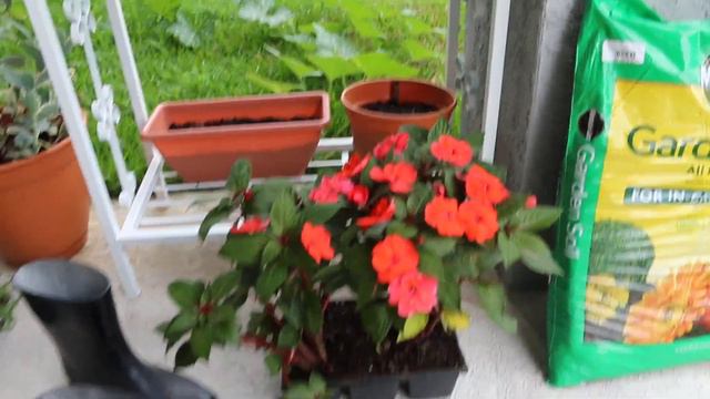 Back yard patio makeover (On a budget) #Patiomakeover смотреть онлайн