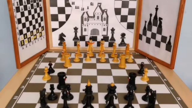 Шахматный бал. МБОУ Школа 176 "Созвездие друзей" смотреть онлайн