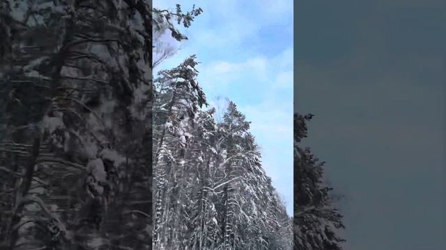 Сегодня я сделала запись беседы о жизни с непубличным человеком смотреть онлайн