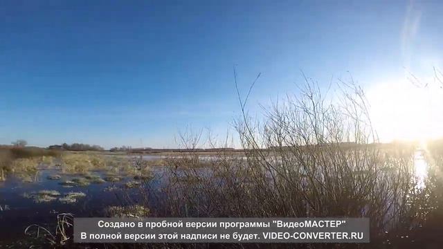 вместо селезня ворона и зайчьи следы.Не забывайте переключать качество видео на 1080!!!! смотреть онлайн