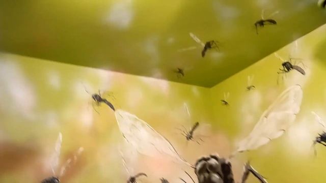 Лабиринт Страха, Галерея Иллюзий, Дом Великана, Ленточный Лабиринт | Vlada May смотреть онлайн