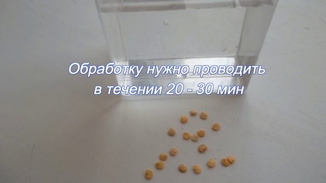 Стройка Секретов