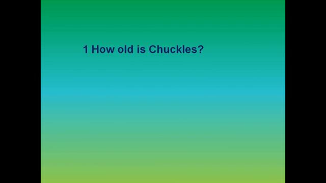 Spotlight 3. Lesson 10 a\b. Clever animals. Глагол Can\can`t. Числа от 1 до 1000 и больше. смотреть онлайн