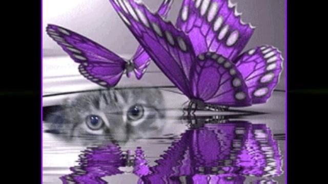 Мой фильм БАБОЧКИ.wmv