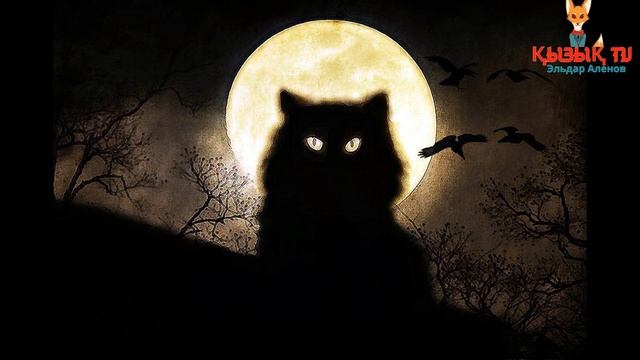 Қара мысық жолыңды кессе... смотреть онлайн