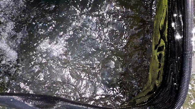 CATCH MORE BREAM THIS SUMMER! ( Bream Fishing Tips) смотреть онлайн