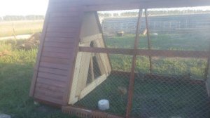 вольер для фазанов своими руками