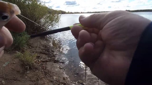 Рыбалка. Рузское водохранилище и Вазузское водохранилище. смотреть онлайн