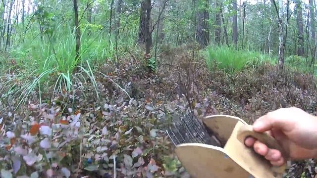 Сбор ЧЕРНИКИ с помощью самодельного КОМБАЙНА смотреть онлайн