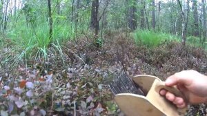 Сбор ЧЕРНИКИ с помощью самодельного КОМБАЙНА