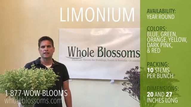 Limonium Flower: Best Filler Flower for any Floral Arrangements смотреть онлайн