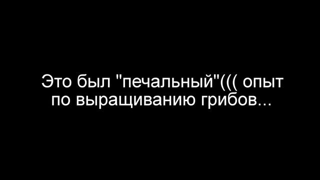 Грибы Вешенка. Убыточное Выращивание грибов Зимой. Нет ухода-Нет дохода. Все еще впереди. смотреть онлайн