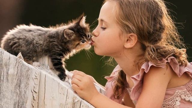 Попив молочка КОТЕНОК сладко уснул, спи, мое ДОРОГОЕ СОКРОВИЩЕ, сказала ДЕВОЧКА... смотреть онлайн