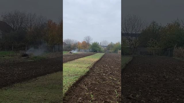 Мотоблок Мотор сич мб13Е пашет на автомате. Ноябрь 2020 смотреть онлайн