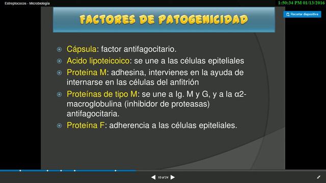 Streptococcus microbiologia #medicina смотреть онлайн