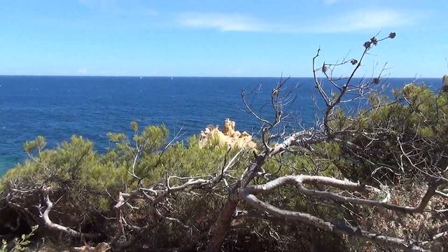 SAINT-TROPEZ RAMATUELLE SENTIER DU LITTORAL смотреть онлайн
