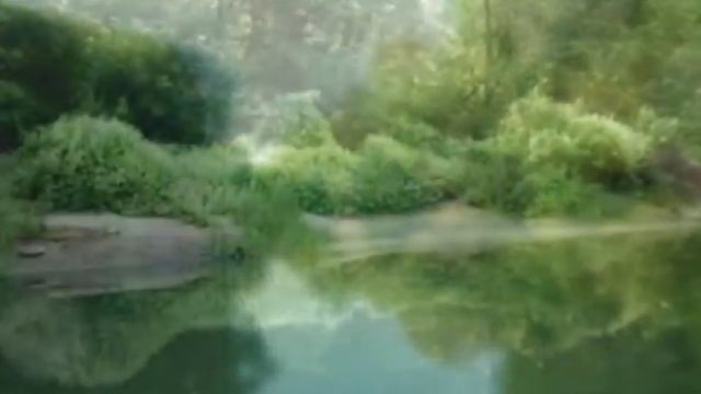 Сплав по реке Медведица [видео коллаж из фотографий] смотреть онлайн