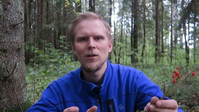 Как не СДОХНУТЬ в лесу. Ландыш. смотреть онлайн