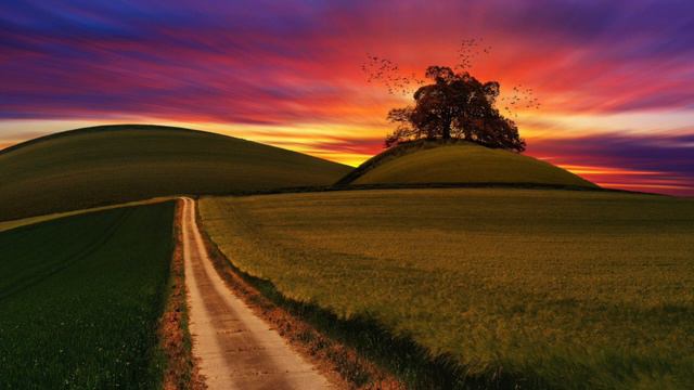 1 HOUR of Beautiful piano by Nicolas Gasparini for relaxation and dreaming смотреть онлайн