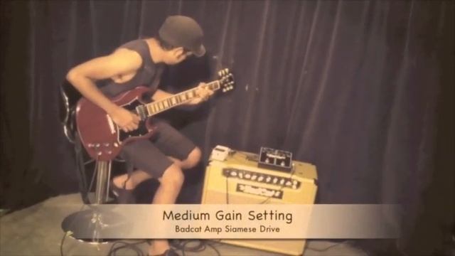 NEW Bad Cat Siamese Drive Pedal смотреть онлайн