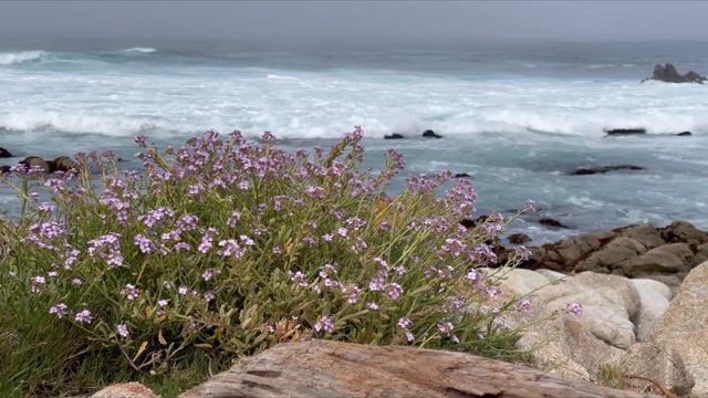 9 minutes of peace (9 минут покоя) смотреть онлайн