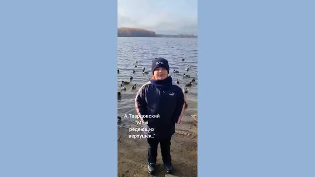 Твардовский Александр Меж редеющих макушек смотреть онлайн