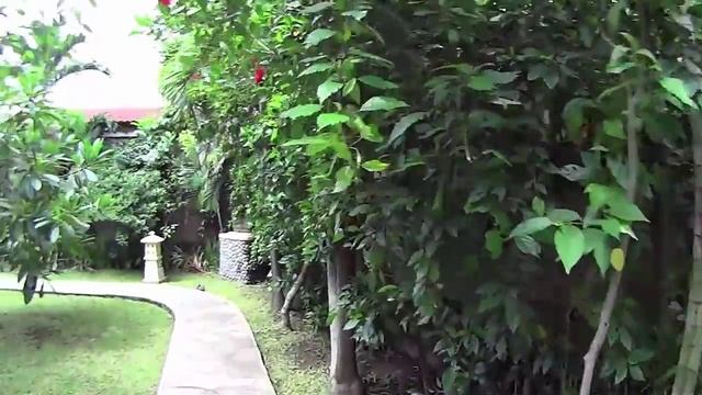 Обзор отелей Бали Амед пляж ресторан номера обслуживание достопримечательности еда погода смотреть онлайн