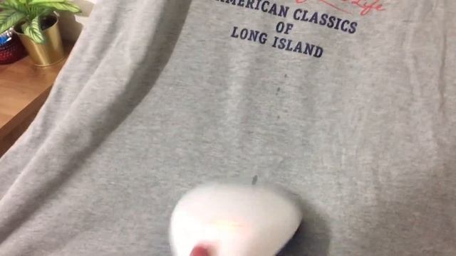 PHILIPS/Handheld Garment Steamer/GC300/review+demo